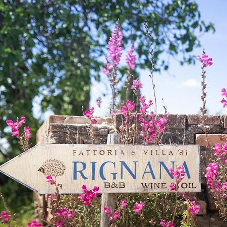 Fattoria Di Rignana Winery Bnb Greve in Chianti Ngoại thất bức ảnh