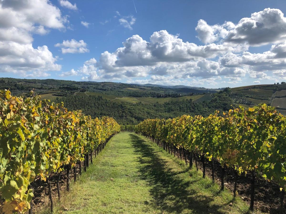 Fattoria Di Rignana Winery Bnb Greve in Chianti Ngoại thất bức ảnh