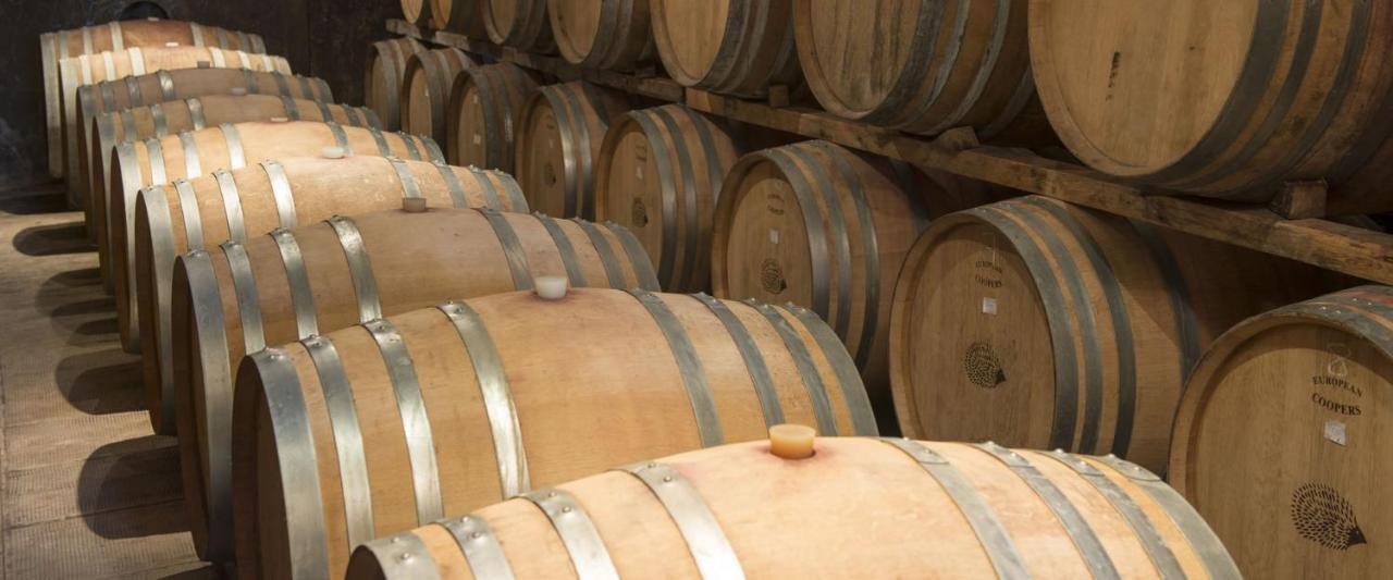 Fattoria Di Rignana Winery Bnb Greve in Chianti Ngoại thất bức ảnh