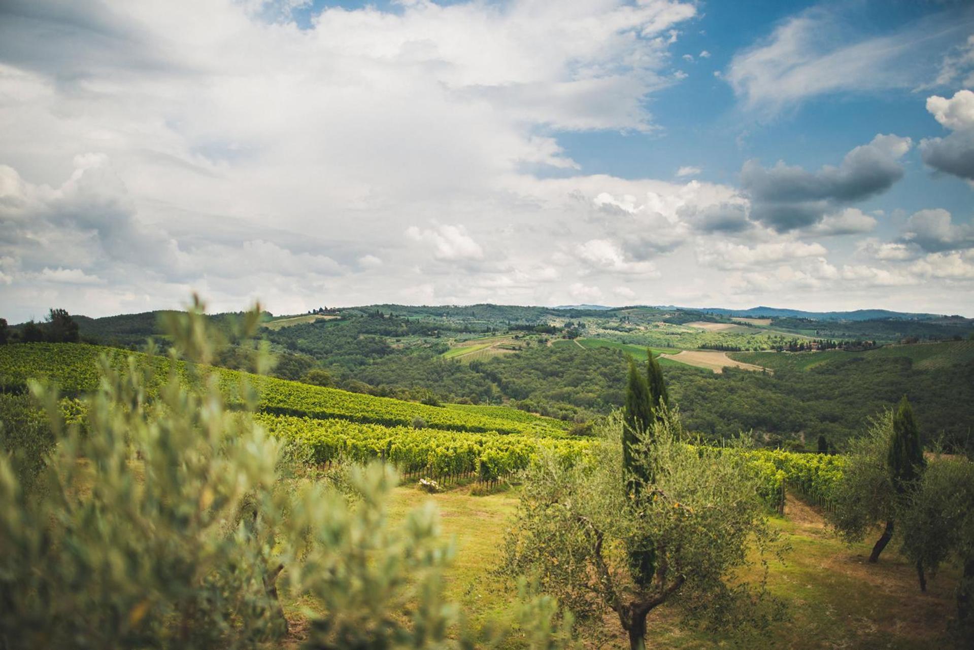 Fattoria Di Rignana Winery Bnb Greve in Chianti Ngoại thất bức ảnh