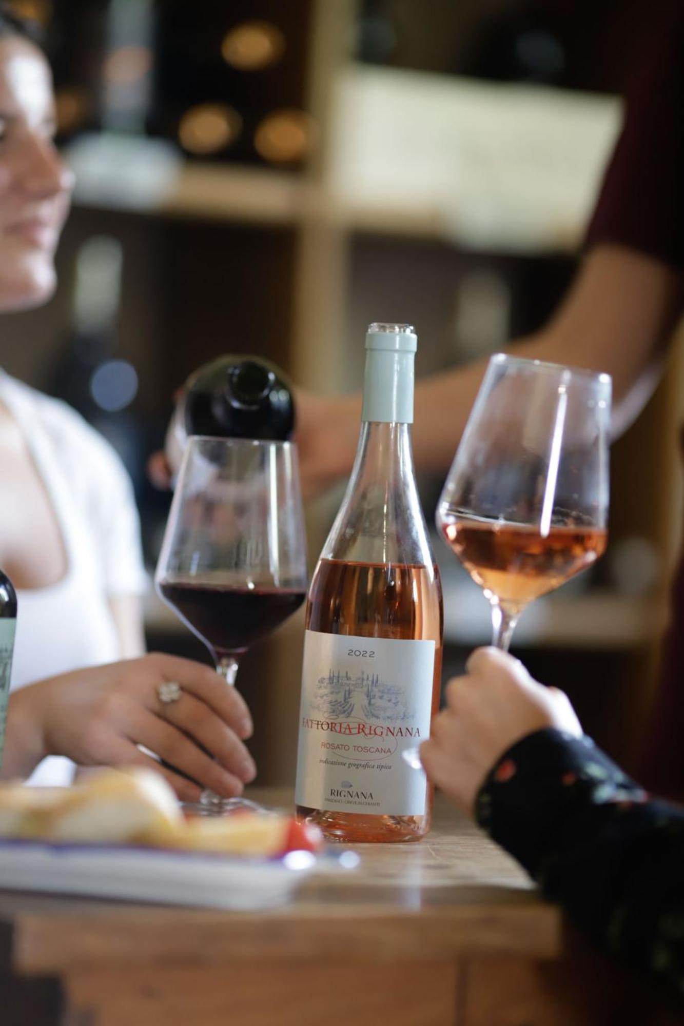 Fattoria Di Rignana Winery Bnb Greve in Chianti Ngoại thất bức ảnh
